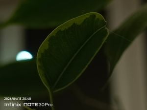phantom6292